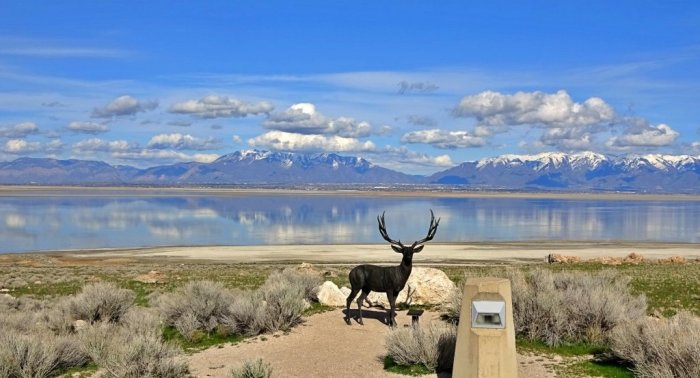 Antelope island utah park state wasatch front click fullscreen jeffreyfavero